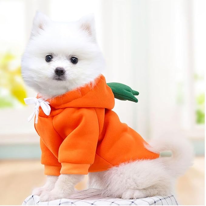 Happy Dog Hoodies - Funny Dog Clothes for Small Dogs & Cats - Hooded Puppy Sweatshirt Coat - Winter & Easter Outfit - Carrot Costume for Kitten, Chihuahua, Pomeranian, Yorkie (Orange, Medium)