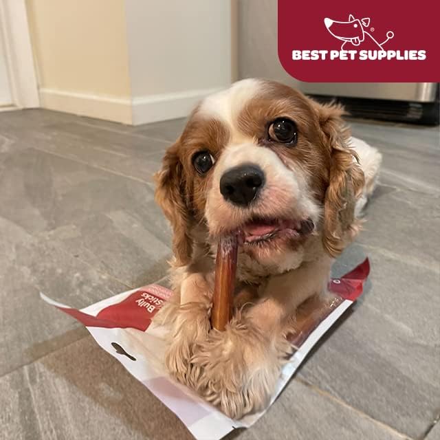 GigaBite Bully Sticks for Dogs All Natural Beef Pizzle Dog Chews, Odor & Rawhide Free Dog Treats, Long Lasting High Protein Chews Digestible Dental Dog Treat - Sticks (Monstrous 6"), Pack of 8