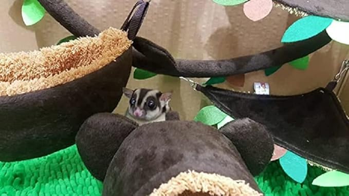 6 Pieces Cute KPS Jungle Bear Style Sugar Glider Hamster Squirrel Chinchillas Small Pet Cage Set Forest Bear Pattern Dark Brown Color Get Free 1 Small Pet Treats (Dry Fish Stick)