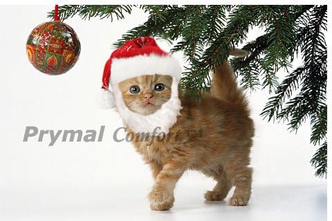 Santa Dog Cat Costume