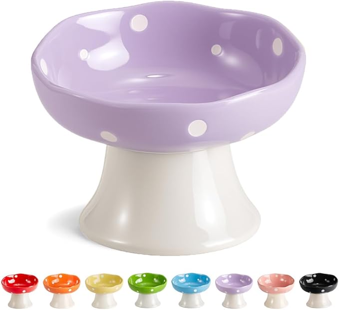 Ceramic Elevated Cat Bowls, Tilted Raised Pet Dish for Indoor Cats, Whisker Friendly Pet Food and Water Bowl for Kitten, Cat, Puppies, Dishwasher Safe (Purple)