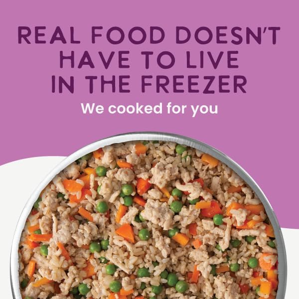 Health Extension Gently Cooked Dog Food Variety Pack – Chicken & Pumpkin, Beef & Potato, Lamb & Carrot – 9 oz Each – Human-Grade Superfood Meals for Digestion, Immunity & Coat Health (Pack of 3)