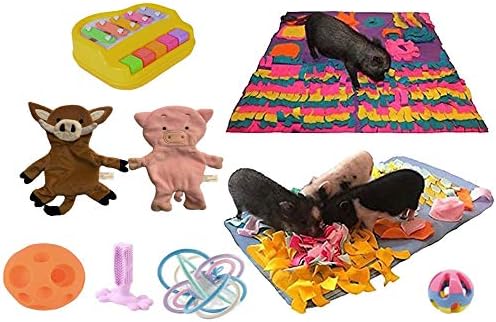 Piggy Poo and Crew Pig Box - Pet Box - Bundle of Toys Gift Box