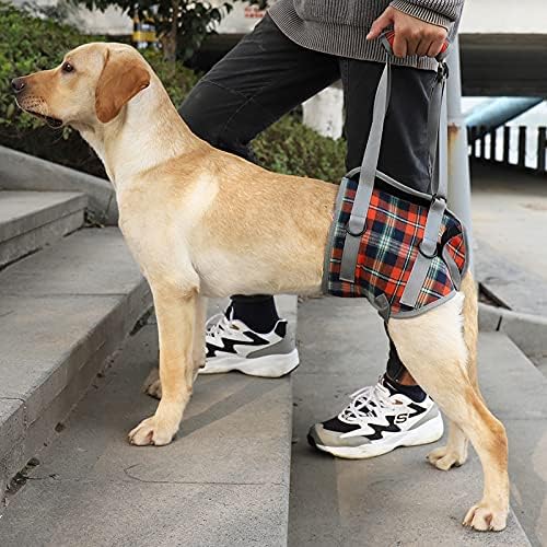 ROZKITCH Dog Lift Harness, Grid Pet Rear Support Aid Veterinarian Approved Sling for Old K9 Help With Poor Stability, Back Leg Hip Disabled Joint Injury Elderly Arthritis ACL Rehabilitation Rehab
