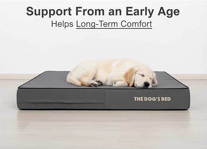 The Dog’s Bed Orthopedic Memory Foam Dog Bed for Large Dogs, Waterproof Washable Cover, Anti-Slip Base, Calming Surface – CertiPUR-Certified Foam, Grey with Black Trim, 6 Inch Thick