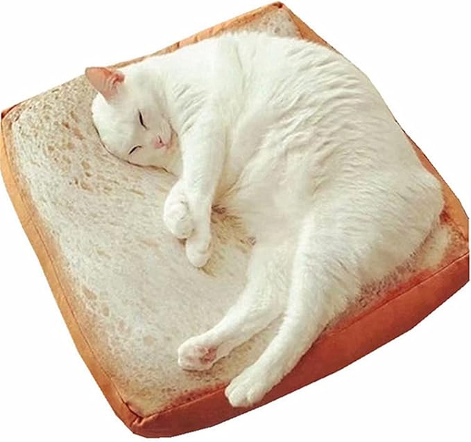 RemeeHi Comfortable Machine Top Pet Bed with Memory Foam and Zipper Removable Cover Sleeping Bed for Dog & Cat Toast with Strawberry （60x60 cm