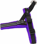 ComfortFlex Sport Dog Harness – No-Choke, Fully Padded, Non-Chafing Harness with Control Handle – Reflective, Lightweight, Adjustable for Active Dogs - XSmall, Purple