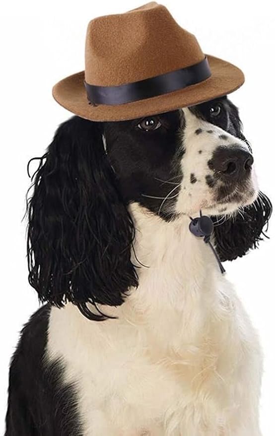 Pink Funny Pet Cowboy Hat, Cute Dog Cat Hat for Halloween Christmas Party Holiday and Daily Wearing Costume Accessories Photo Prop Pet Decoration