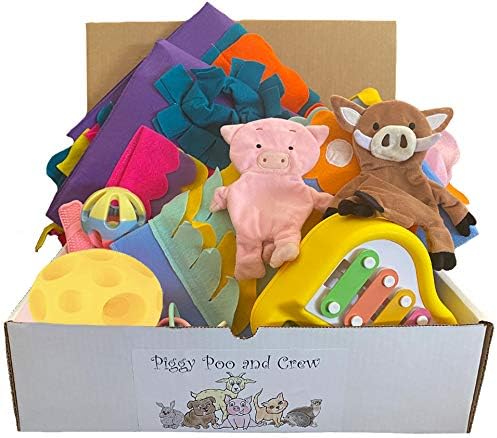 Pet Box Bundle: Assorted Toys for Dogs Pigs Rabbits Cats and Small Pets - Interactive Playtime Variety Pack with Treat Balls Snuffle Mats Games & Toys