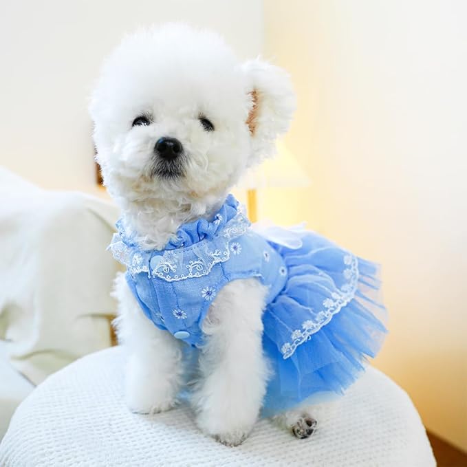 ANIAC Daisy Small Dog Dresses Female with Leash Ring,Bow Knot Girl Puppy Wedding Dress,Valentine's Cat Outfit,Fancy Pet Party Dress for Kitten Chihuahua Yorkie Pomeranian (Blue, Medium)