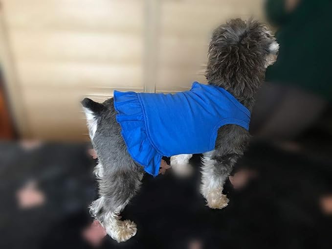 Pet Clothes Small Dog Clothing Blank Color Sport Dress T-Shirts Tee Dresses Tanks Top for Small Size Female Dogs Summer Spring Pet Costumes 100% Cotton (XS, Blue)
