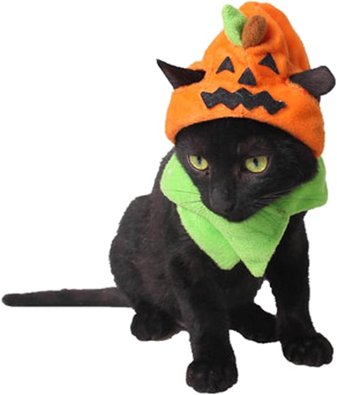 Orgrimmar Halloween Pumpkin Cat Hat Cosplay Costume Cap Kitty Collar Costume