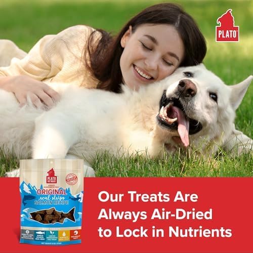 PLATO Pet Treats Real Strips - Air-Dried Meat Bars for Dogs - Delicious, Limited Ingredient Dog Treats - Grain Free Dog Treats - Original Real Strips Salmon 18oz - 2 Pack