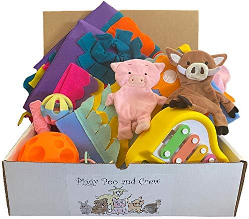 Piggy Poo and Crew Pig Box - Pet Box - Bundle of Toys Gift Box