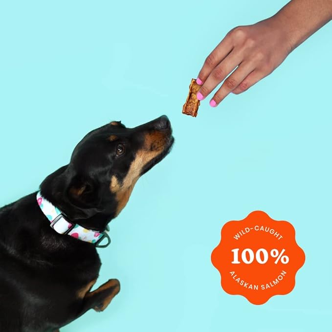 Ava’s Pet Palace Snappin’ Salmon – Air-Dried Wild-Caught Salmon Jerky Dog Treats | Sustainable, High-Protein, Single-Ingredient, Grain-Free Chews | Healthy, Crunchy, No Preservatives | Made in the USA