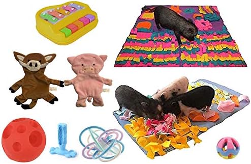 Piggy Poo and Crew Pig Box - Pet Box - Bundle of Toys Gift Box