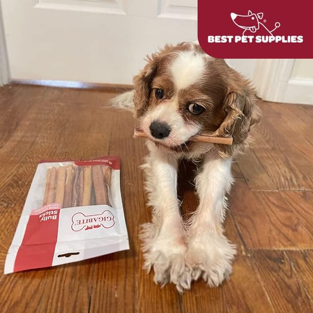 GigaBite Bully Sticks for Dogs All Natural Beef Pizzle Dog Chews, Odor & Rawhide Free Dog Treats, Long Lasting High Protein Chews Digestible Dental Dog Treat - Sticks (Premium 12"), Pack of 6