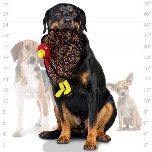 TUFFY - World's Tuffest Soft Dog Toy -Barnyard- Multiple Layers. Made Durable, Strong & Tough. Interactive Play (Tug, Toss & Fetch). Machine Washable & Floats. (Turkey, Large 2 Pack)