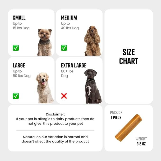 1 Large Pumpkin Yak Cheese Himalayan Dog Chews - Rich Protein & Low Fat Pumpkin Yak Chews for Dogs - Gluten-Free & Lactose-Free Treats for Small, Medium & Large Dogs