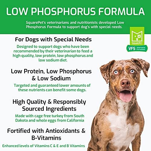 SquarePet VFS Low Phosphorus Formula Special Needs Dry Dog Food Made with Cage Free Turkey and Whole Eggs 4.4lb
