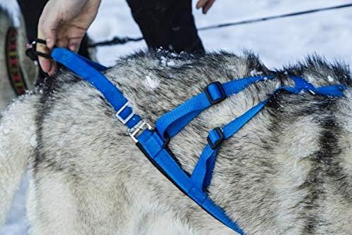Neewa Adjustable Sled Pro Harness - Medium, Blue, Large Breed, Pulling, Giant, Sled, Great for Dog Joring