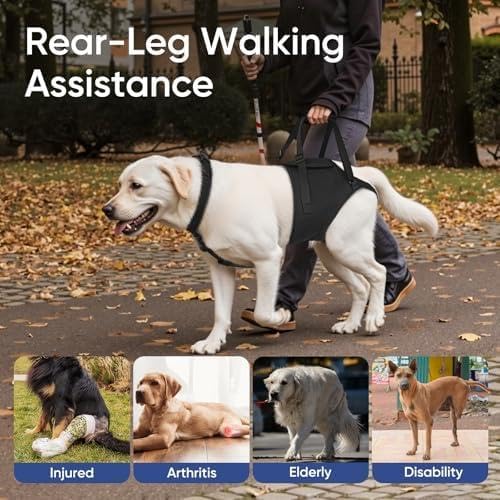 Dog Sling for Large Dogs Hind Leg Support, Senior Dogs Lift Assist Harness for Weak Back Leg Support, Help Large Breed Rear Leg Up Harness, Mobility Aids for Elderly, Injured, Paralyzed Dog, XL