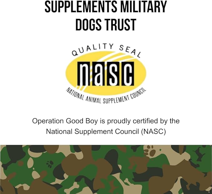 Immune Support Soft Chews for Dogs, Immune Health Supplement, 90 Count, Natural Ingredients, Beef Liver Flavor, Veteran Owned – Operation Good Boy