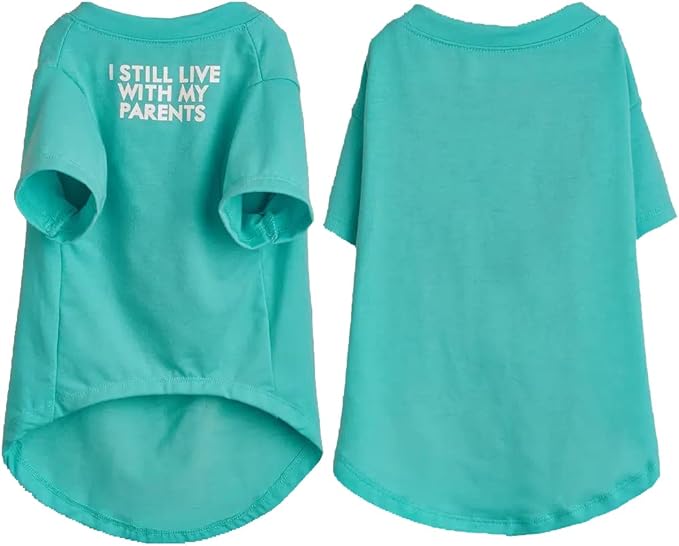 Cute Dog Clothes, T Shirt for Medium and Small Dogs Girl Boy,Puppy.Breathable Soft Dog Costume for Pet Dogs Cats, Pet Pullover Jumper, Cat Clothes (S-(4~8lb), Chest~14",Aqua)