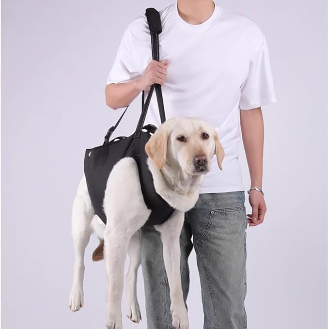Senior Dog Mobility Harness - Full Body Lifting Sling with Adjustable Shoulder Straps and Breathable Mesh Lining for Hip Dysplasia and IVDD Recovery Support