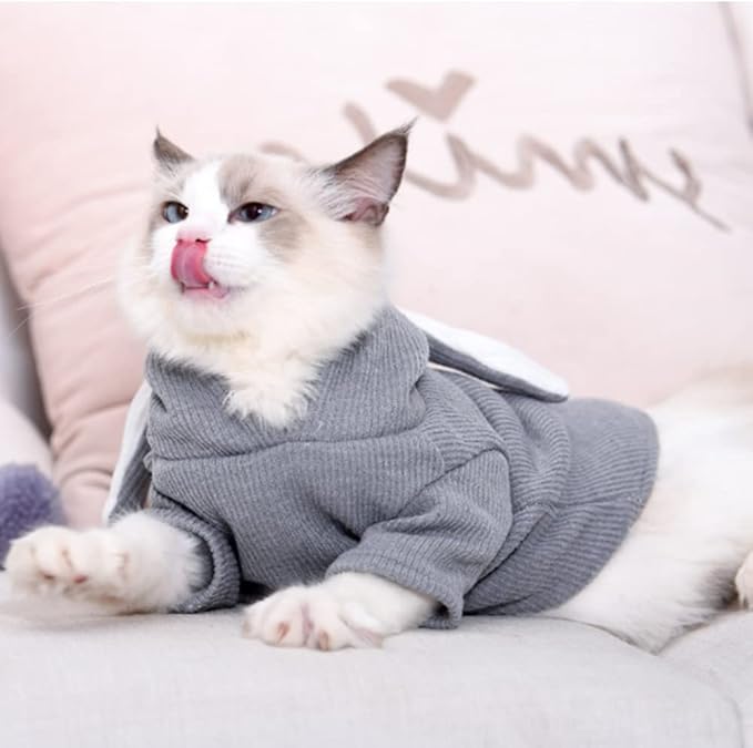 ANIAC Funny Small Dog Hoodies for Girl Boy Bunny Ears Dog Clothes Hooded Puppy Sweatshirt Cat Apparel Pet Costume for Easter Halloween Christmas Holiday (X-Large, Grey)
