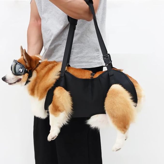 Dog Support Harness for Large, Medium & Small Dogs, Rear Leg Mobility Aid and Walking Assist Sling, Ideal for Senior Dogs, Disabled Pets, Hip Dysplasia Or Post Surgery Care(L(36-55) pounds)