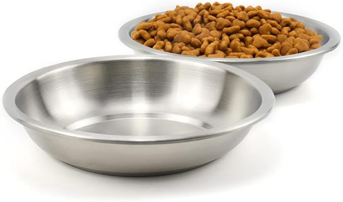 Stainless Steel Cat Bowls 2 Pack, Whisker Fatigue Relief Cat Food Dish, Metal Shallow Wide Large Replacement Plate for Dog and Pet, Ideal for Raised Elevated Pet Feeding Station Stand, 6.3"