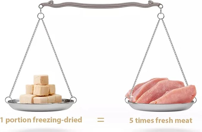 Organic Freeze-Dried Salmon Treats — Single Ingredient, Grain-Free & Gluten-Free — High Protein, Skin & Coat Support, Raw-Diet Friendly — Made in USA (Pack of 1)