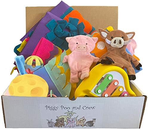 Pet Box Bundle: Assorted Toys for Dogs, Pigs, Rabbits, Cats, & Small Pets - Variety Pack with Treat Balls, Snuffle Mats, Games, & Toys (Blue Peanut Butter Stick Combo with a Yellow Ball)