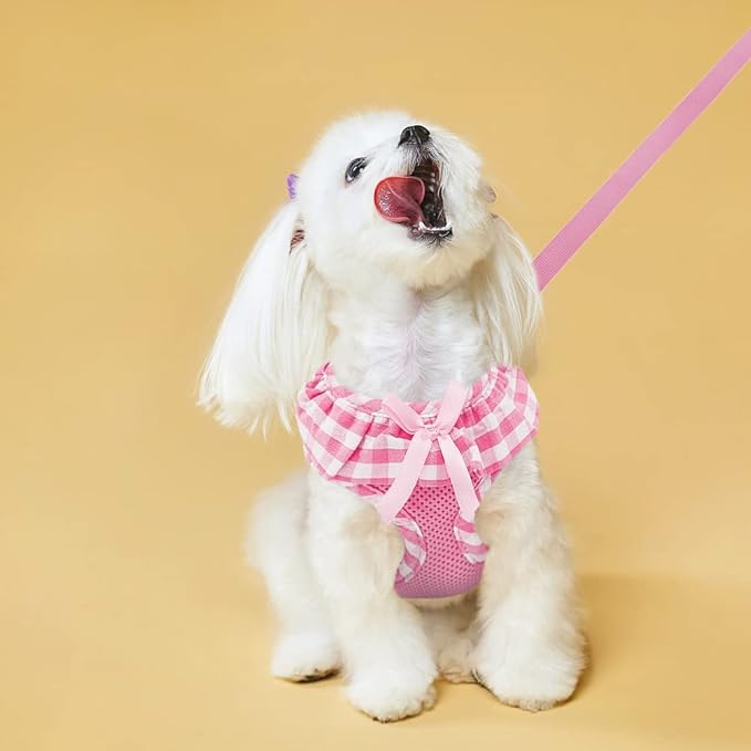 EXPAWLORER Cute Dog Harness and Leash Set - Pink Girl Dog Harness Checkered Step-in Design, Easy Adjustable No-Choke Lightweight Breathable Vest for Small Medium Dogs Outdoor Walking, Medium