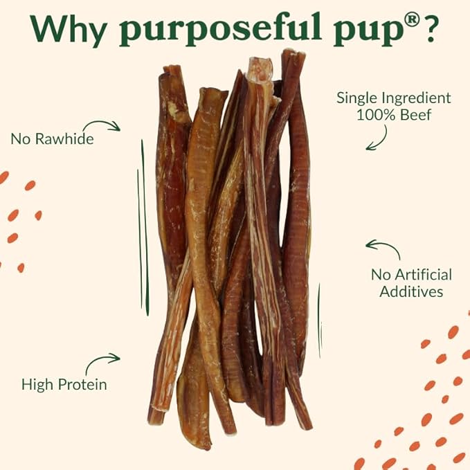 Bully Sticks (12 Inch-20 Pack) | European Quality | Single Ingredient Beef Pizzle Dog Chews | Long Lasting Rawhide Alternative | Medium to Large Dogs