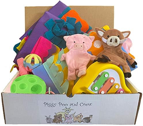Piggy Poo and Crew Pig Box - Pet Box - Bundle of Toys Gift Box