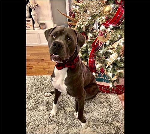 Unique style paws Cotton Dog Collar with Bow Puppy Collar with Black Red Plaid for Small Medium Large Boys Girls Dogs
