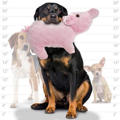 MIGHTY- Massive - Squeaker-Multiple Layers. Made Durable, Strong & Tough. Interactive Play Dog Toy (Tug, Toss & Fetch). Machine Washable & Floats. (Piglet, Massive 2 Pack)