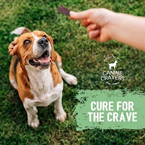 Canine Cravers Single Ingredient Dog Treats – Human Grade Air Dried Hypoallergenic Pet Food – Grain, Gluten, and Soy Free – 100% All Natural (Premium Beef Fillets, 20 oz)