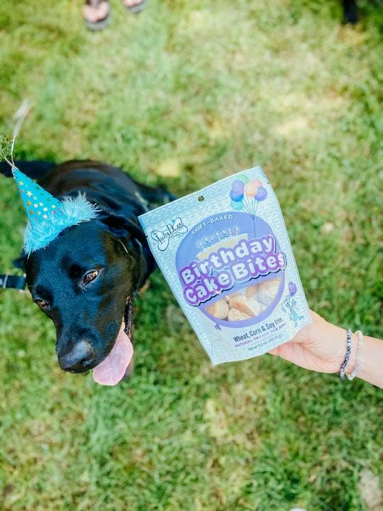 The Lazy Dog Cookie Co. - Original Pup-Pie - Happy Birthday Dog Treat for a Charming Boy, 5 oz with Bag of 5oz Birthday Cake Bite Mutt Mallows