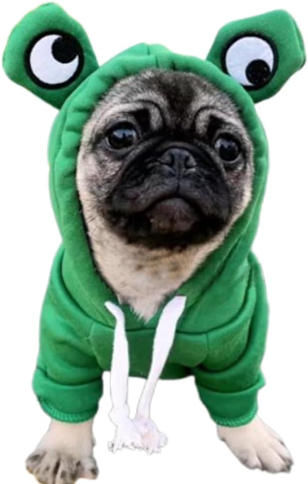 ANIAC Funny Pet Clothes for Small Dog Cat Girl Male Puppy Hoodies Warm Dogs Sweatshirt Coat with Eye Hood Fall Cat Apparel Christmas Halloween Outfit Dog Frog Costume (Green, Small)