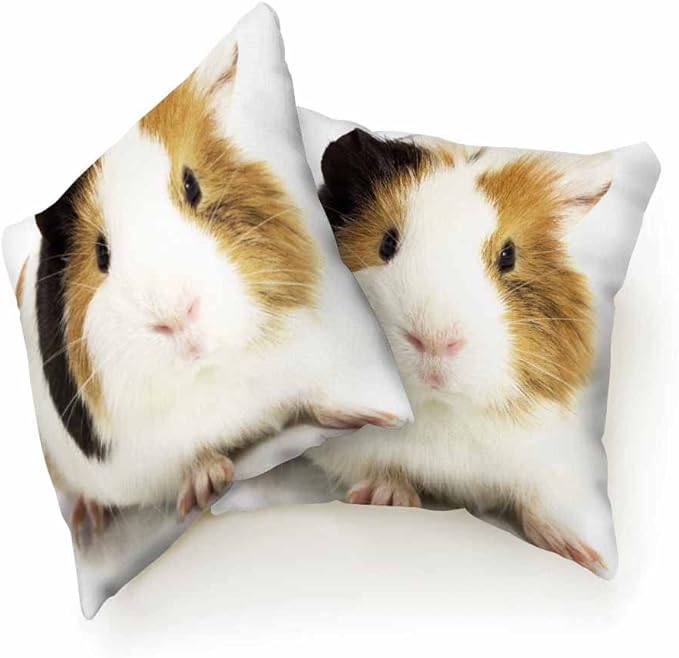 Throw Pillow Covers Funny Small Guinea Pig Sitting Pillowcase Decor for Room Bed Chair,18X8 Inch Set of 2