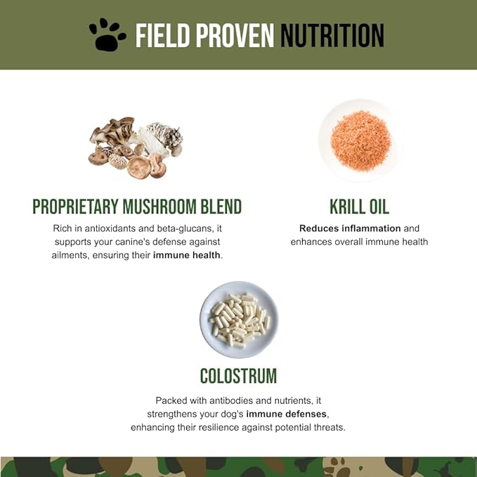 Immune Support Soft Chews for Dogs, Immune Health Supplement, 90 Count, Natural Ingredients, Beef Liver Flavor, Veteran Owned – Operation Good Boy