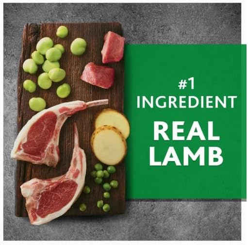 Pure Balance Lamb & Fava Bean Recipe Dry Dog Food, Grain-Free, 11 lbs
