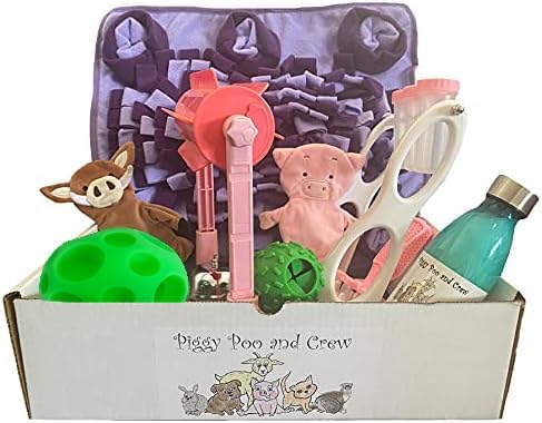 Game Box for Dogs Pigs Rabbits Cats and Other Small Animals - Slow Feeding Toys, Shampoo, & Much More (Purple Mat & Pink Games)