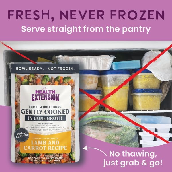 Health Extension Gently Cooked Lamb & Carrot Dog Food, Human-Grade & Shelf-Stable with Superfoods, Supports Digestion, Immunity, Skin & Coat, 9 oz Pouch (Pack of 1)