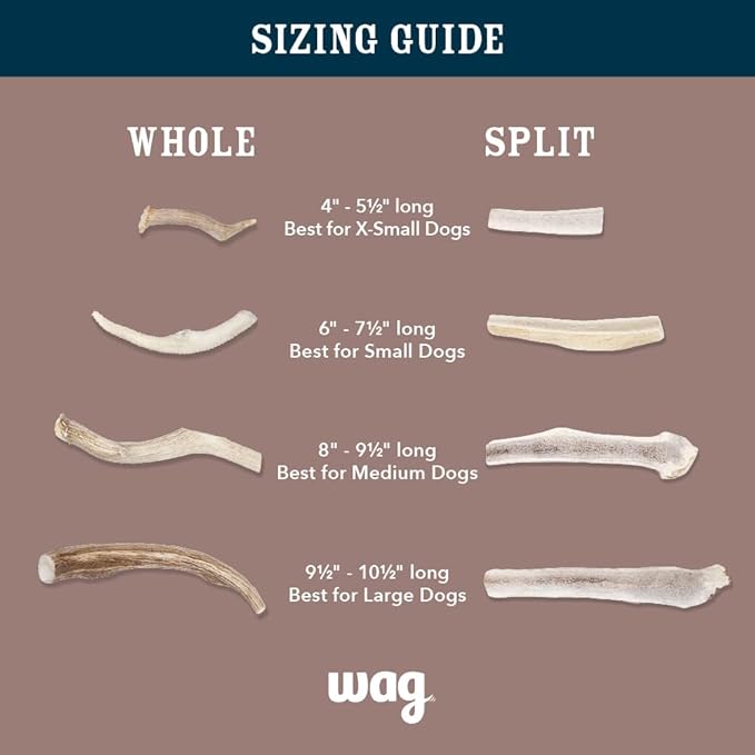 Amazon Brand - Wag Dog Deer Antler Chew, Naturally Shed. Whole, Small, Long Lasting for Aggressive Chewers, Best for Dogs under 15 lbs, 4 - 5.5 inches
