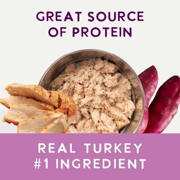 Health Extension Wet Dog Food Turkey & Sweet Potato Entrée in Gravy, 9 oz - Digestive Support with Superfoods & Antioxidants for Immune Support (Case of 12 Cans)