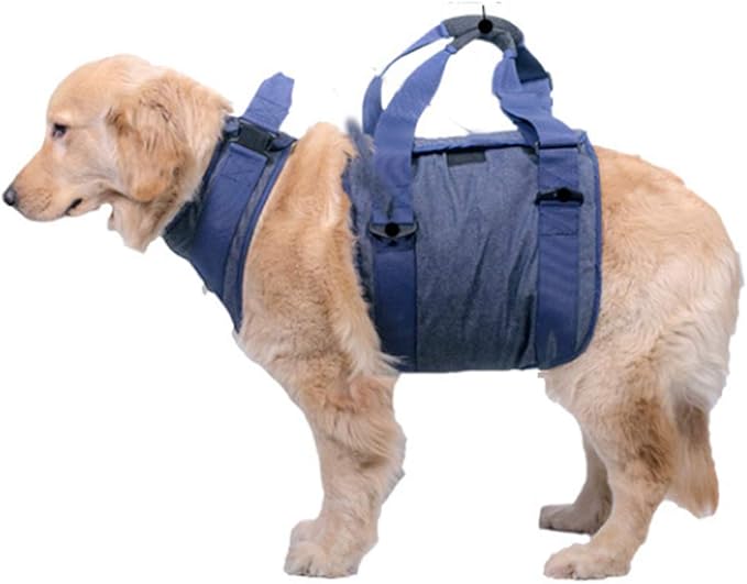 Dog Lift Harness, Pet Support & Rehabilitation Sling Lift Adjustable Vest Breathable Straps,Full Body Recovery Sling for Old, Disabled, Joint Injuries, Arthritis, Paralysis Dogs Walk,XS